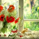 거멍돌해물탕 이미지