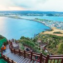 시나브로목장 이미지