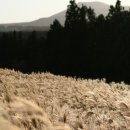 부여하늘농장 이미지