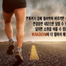 와코짐 이미지
