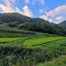 제주금산민박 이미지