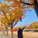 죠죠일식 네이버블로그