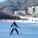 GR(강원특별자치도)-[한서로]-상-2 | 강원도 홍천 비발디파크 스키장 국가대표 렌탈샵 어린이 스키강습 후기