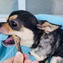 얌얌이푸드 이미지