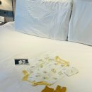 테디피트니스 방이점 | [임신/출산] 30주 태교여행 '파라나스 호텔' 숙박 후기(임산부 대여물품/산책로/조식/바다뷰)