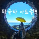 월드애견 | 강릉 가볼만한 곳 테마공원 &#34;하슬라아트월드&#34; 후기 애견동반 가능해요