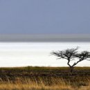 무지갯빛 이미지