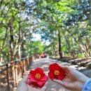 자산벽화마을 (옥외1) | 여수 가볼만한곳 뚜벅이 여행 도전~ 1박2일 여행 총정리