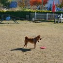 용순농장 이미지