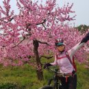 옥천리경로당 이미지