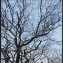 폭풍의언덕여관 이미지