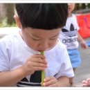 소망어린이집 이미지