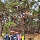 슈피아 - 음성군 시장로 102 | 슈피아