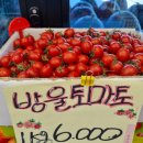쏭쏭마켓