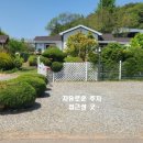 초록창고 네이버블로그