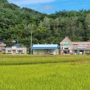 용암2리 경로당 티스토리