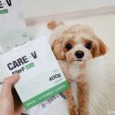 강서하이동물병원 이미지