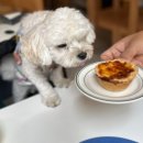 오늘도구움 이미지