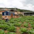 [공동의 집 돌보기-생태적 회개의 여정] (8) 생태 영성 이미지