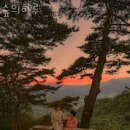 숲의하루 이미지