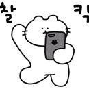 (주)갓파스시 이미지