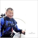 다이버하우스 네이버블로그