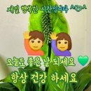 ♤"가슴아픈 망구의 언덕을 바라 보면서"♤ 이미지