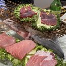 다미참치 이미지