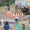콩콩찰떡 놀이체육(볼링) | 홍천 2박 3일 - 여행기 2-2탄| 홍천 소노벨 리조트 후기| 홍천 소노벨 리조트 부대시설 소개| 리조트 놀...