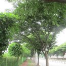 오성산단로 이미지