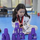 어린이 스포츠스태킹 | 대전 서구 관저동 태권도🥋관저동 태권도 추천 | 강호...후기 🏓탁구·🏄서프스케이트·🥤스포츠스태킹까지...