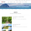 모다들엉여행사