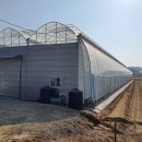 경영농장 이미지