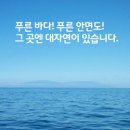 안면횟집