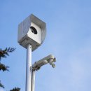 카메라 단속 표지판 이미지