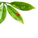 전도 버스정류장 옆 이미지