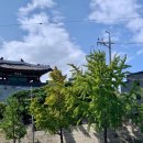 웨스(WESS) 이미지