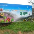 계곡면사무소 이미지