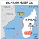 강타 카카오 검색결과