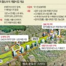 수색동 380-1 이미지