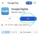 후플라(hoopla)