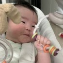 닥스베이비 이미지