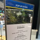 마이온네이처