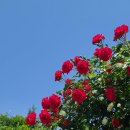 섬안경로당 이미지