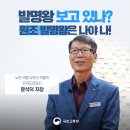 색깔 유도선 이미지