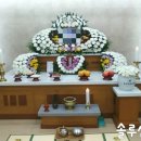 성심의전 - 전주시 완산구 은행로 30-3 | 성심의전