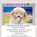 꽃길만 걷게 해줄'개' 네이버블로그