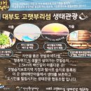 대부도고랫부리섬생태관광마을협동조합 이미지