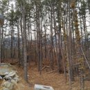 경기도 양평군 대아초등학교 이미지