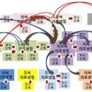 의료생협 사무장병원 전도사 &#39;이모 씨&#39; 행정부 농락(펌) 이미지